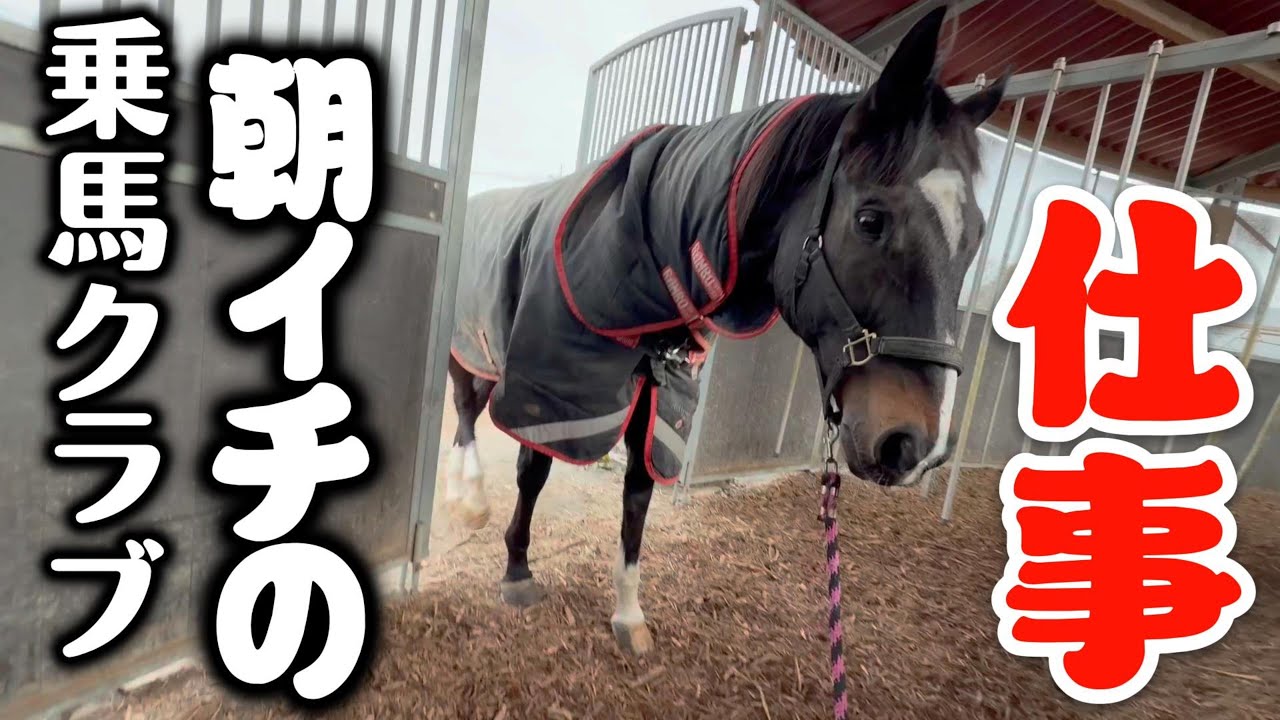 乗馬クラブの朝イチの様子。※中年男性がダラダラ話してます。