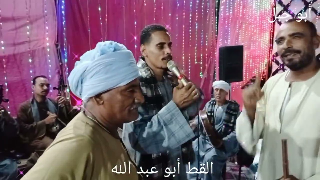 القط أبو عبد الله