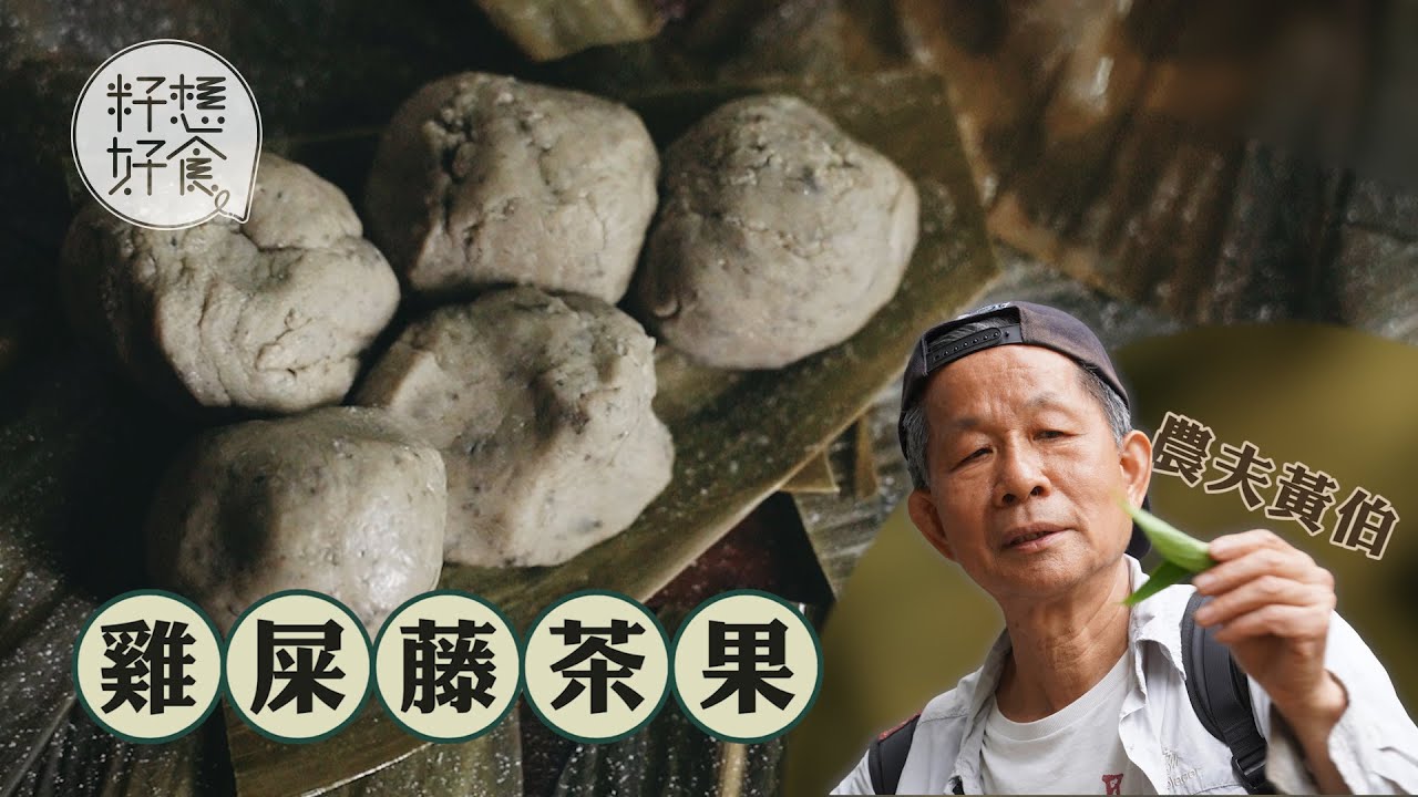 【清明要食清明仔】客家祭祖必備雞屎藤 農夫帶路上山摘秘技 大澳柴火茶果香甜煙韌