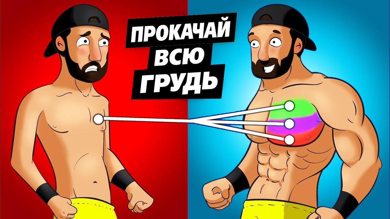 7 лучших УПРАЖНЕНИЙ на ГРУДЬ!