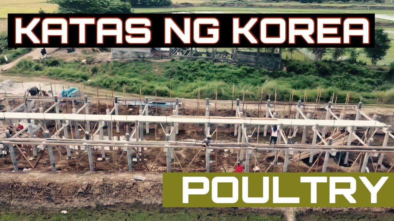BAGONG POULTRY/ KATAS NG KOREA