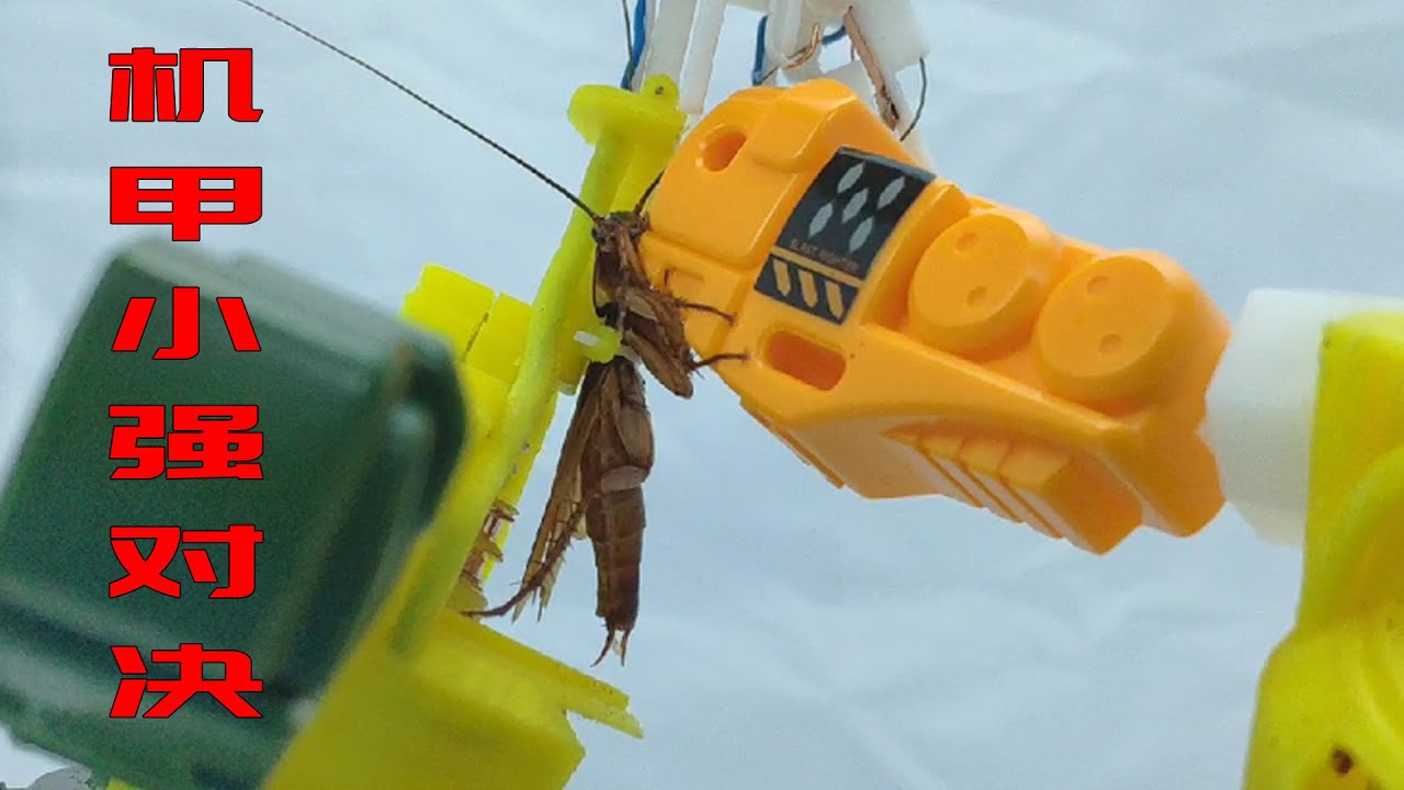 博主用3d列印給小強制作了機甲，結果雙方打到結仇，最後誰會勝出？ Real Steel of cockroach