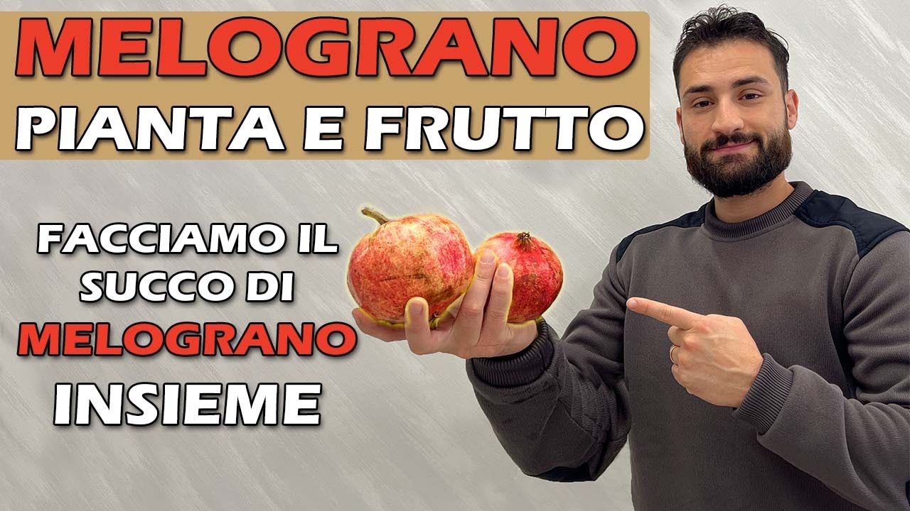 MELOGRANO: ti insegno come fare il SUCCO di melagrana