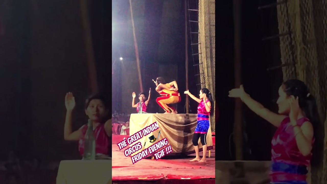 Great Indian Circus 🪄 🎩 🔪 Magic show, 7 Knives swallowed #circus #shorts #daylife