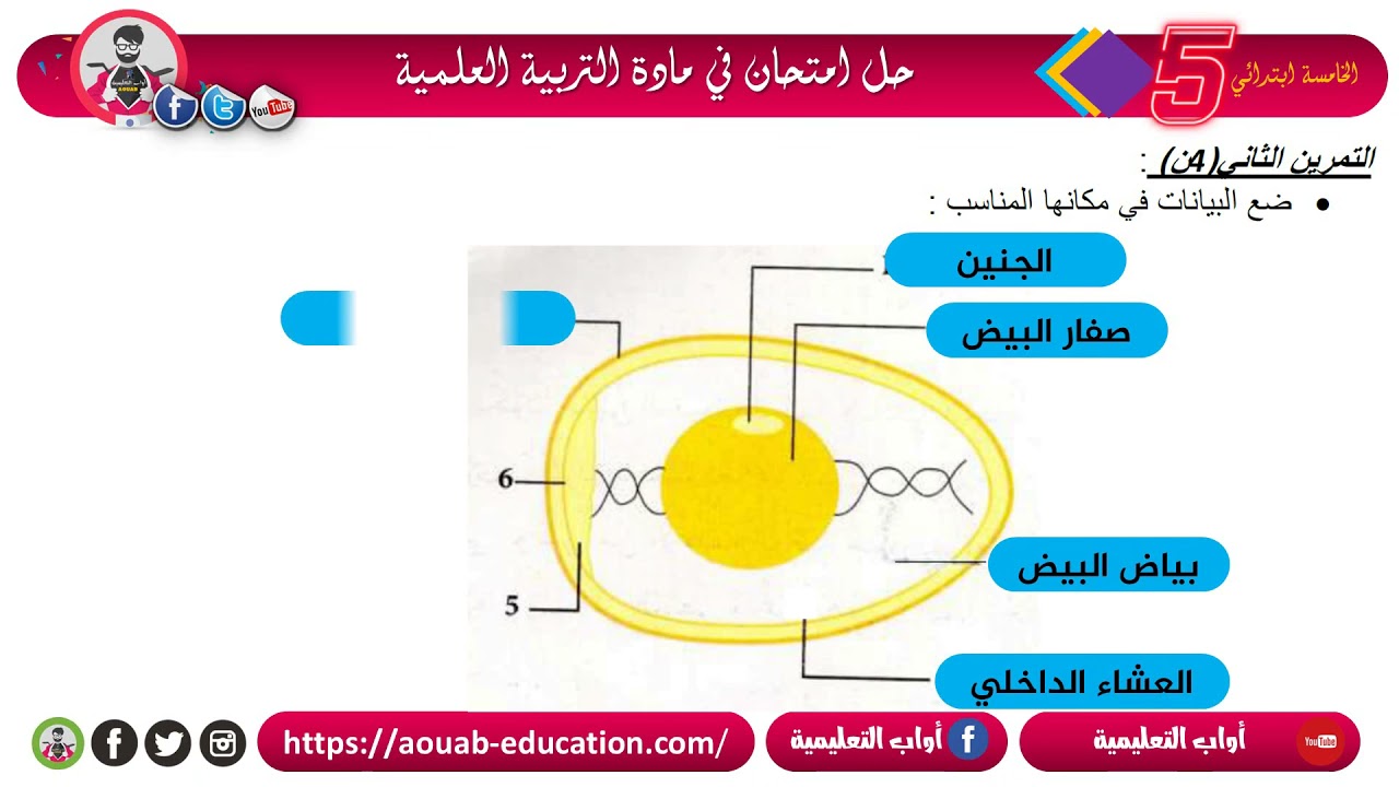 حل امتحان الفصل الثاني في مادة التربية العلمية / الخامسة ابتدائي 2021