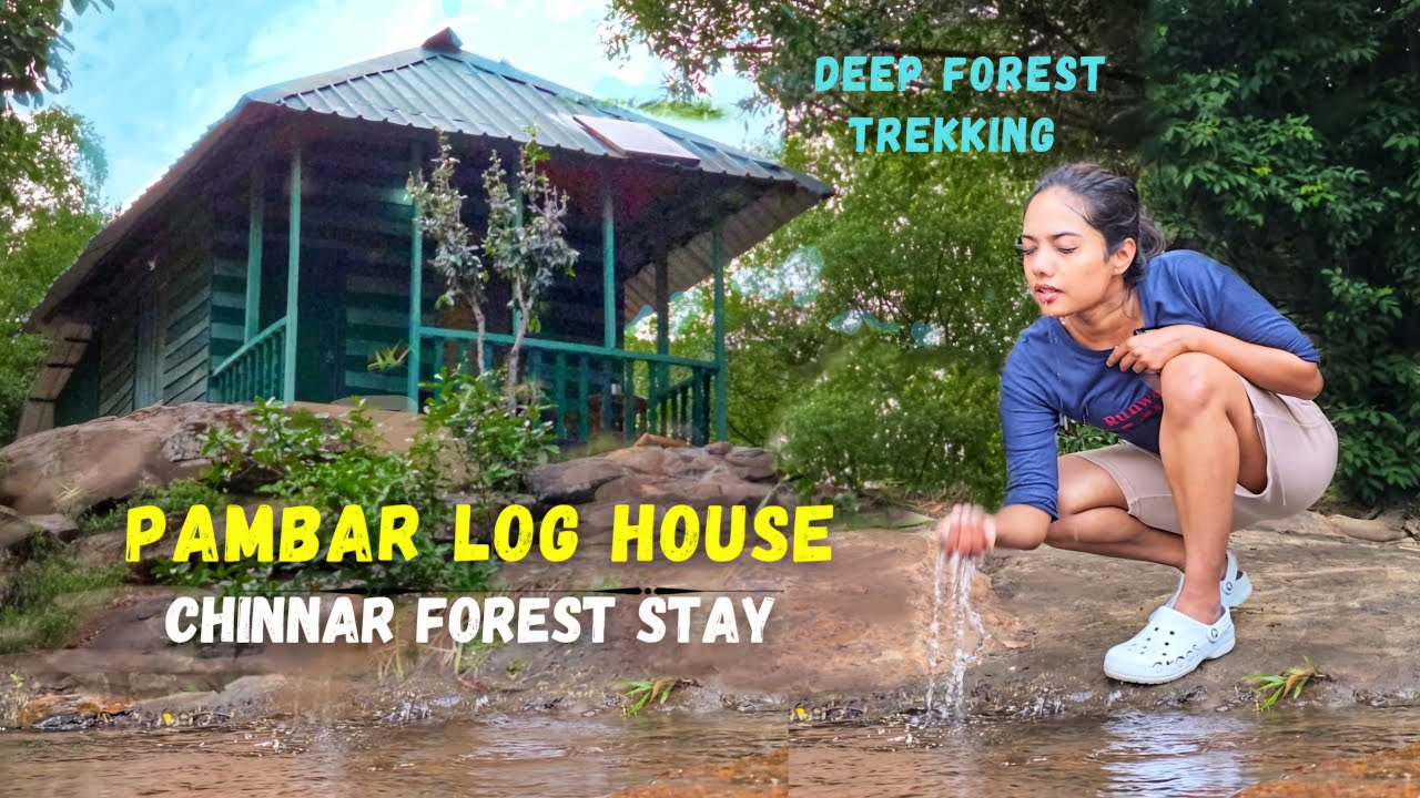 Pambaar Log House | ചിന്നാർ കാട്ടിൽ കാട്ടാനകൾക്കൊപ്പം ഒരു രാത്രി | Chinnar Wildlife Sanctuary | 4K