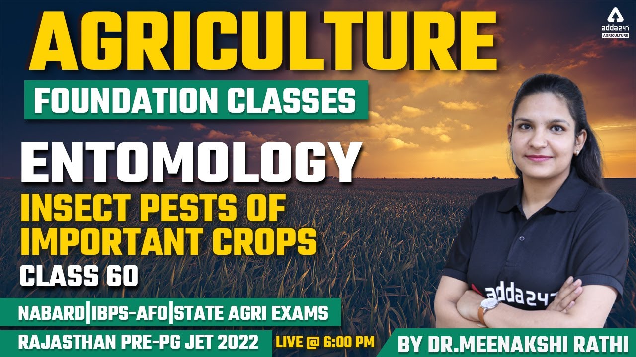 Agriculture Foundation Classes | Entomology #60 | Insect Pests of Important Crops | Rajasthan Pre-PG