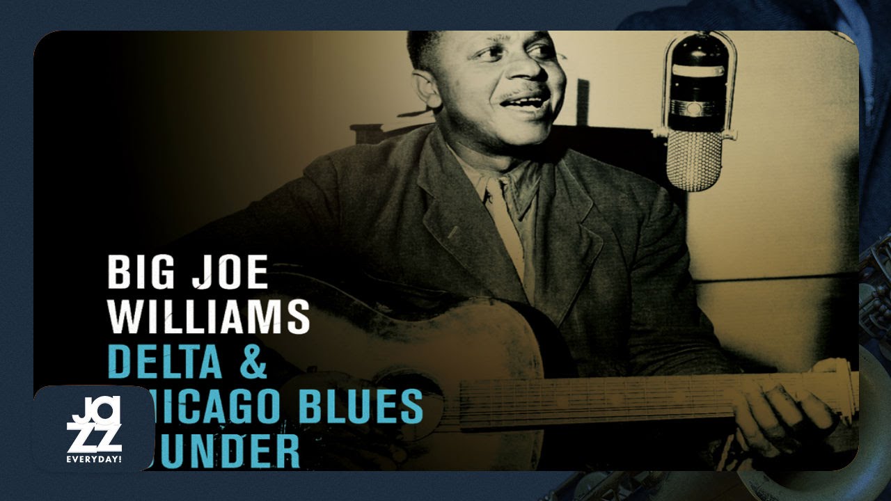 Big Joe Williams - Please Don't Go