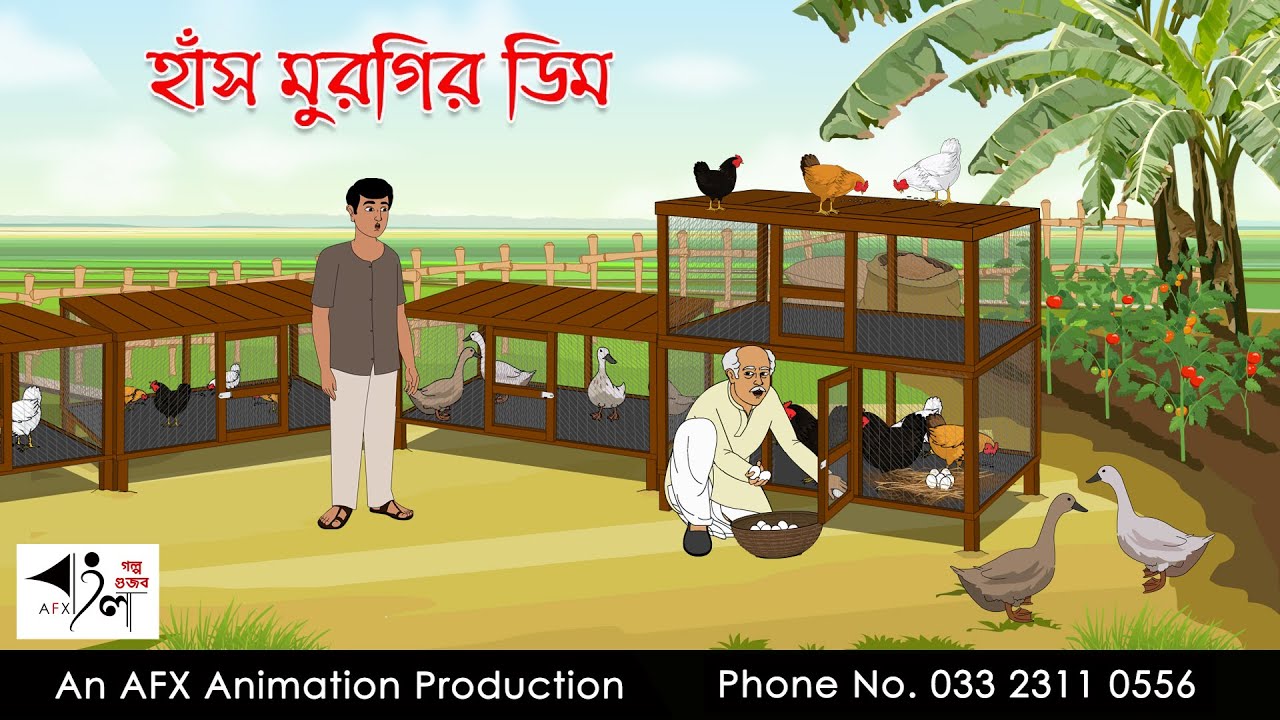 হাঁস মুরগির ডিম  | Bangla cartoon | বাংলা কার্টুন | AFX Animation
