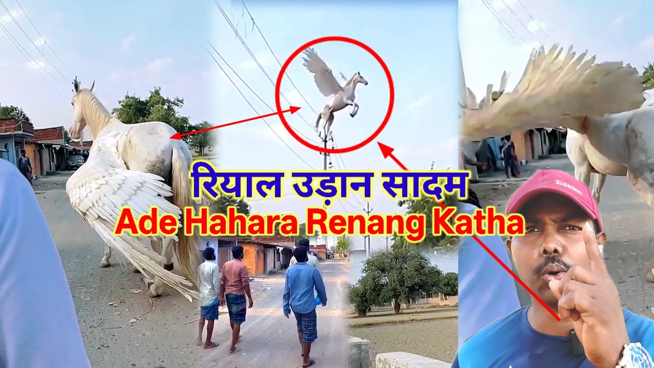 Ade Hahara Renang Katha //रियाल उड़ान सादम //#santalivideo2026 //@bhushgudu 