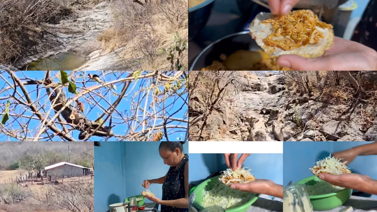 Tocó limpieza 🧹//les da un recorrido 🤩//esto se encontró 😱//preparamos unas tostadas 😋
