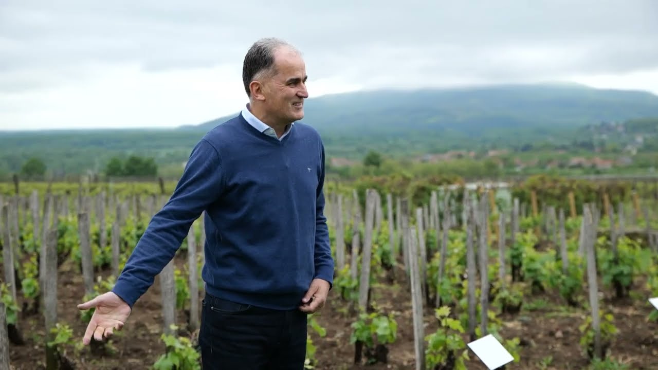 HUNGARIAN WINE SUMMIT 2024