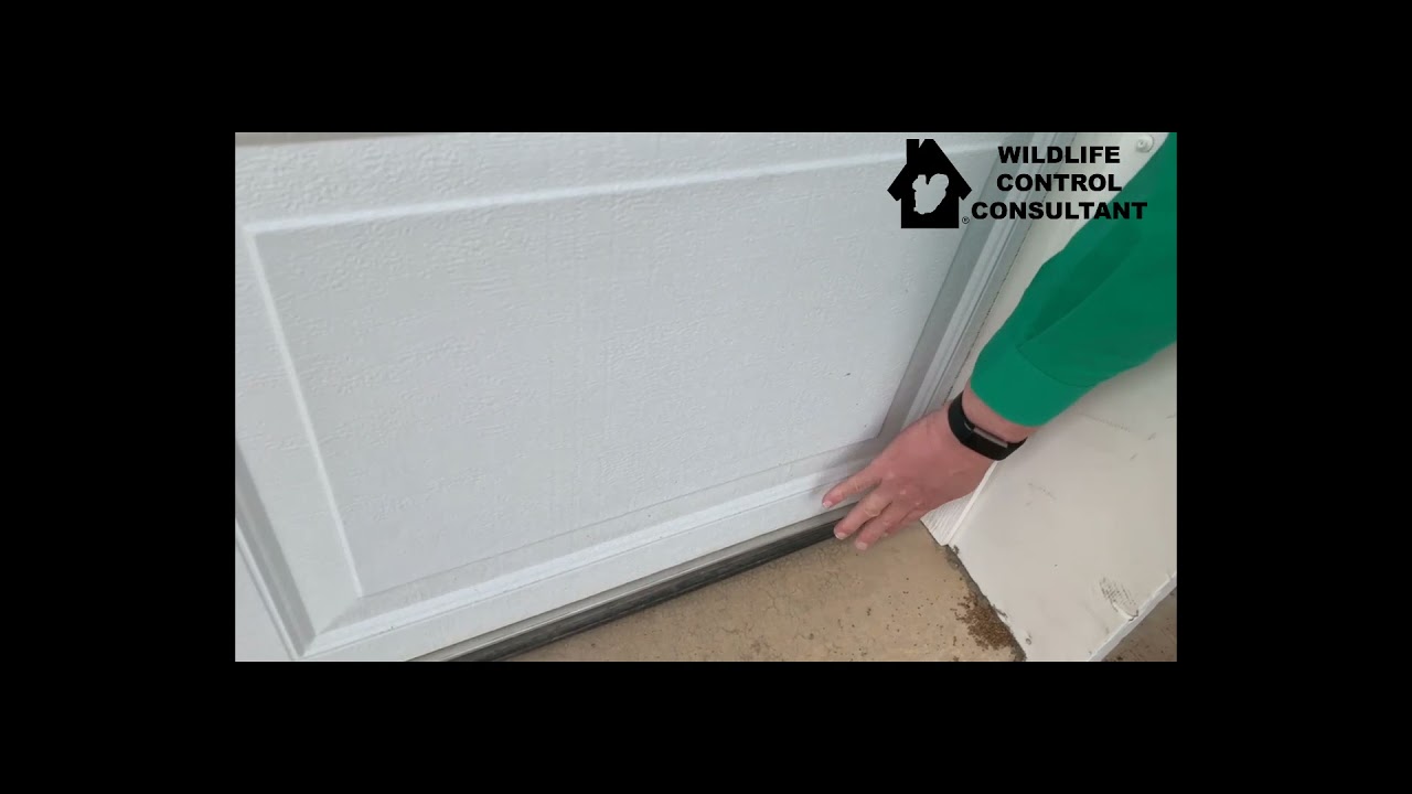 Xcluder Garage Door Sweep installation to prevent rodent entry update: how to correct a gap part 2