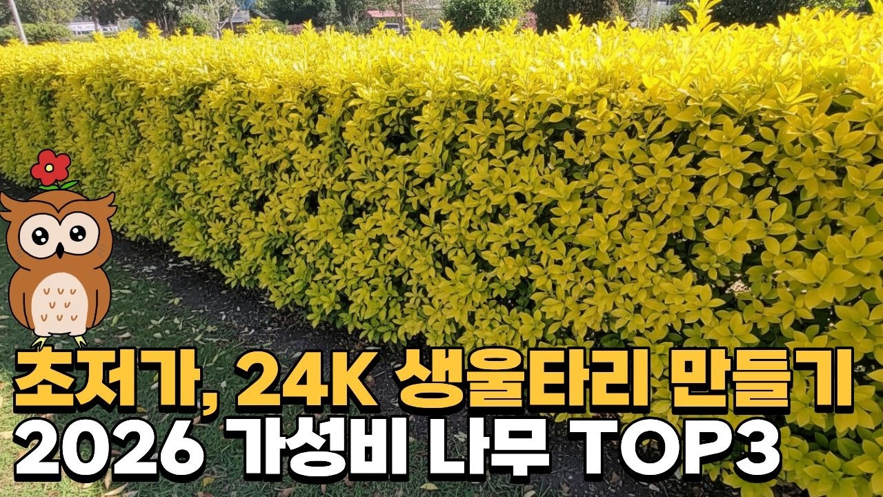 생울타리, 비싼 나무 심지 마세요! 가성비 고효율 나무 TOP 3