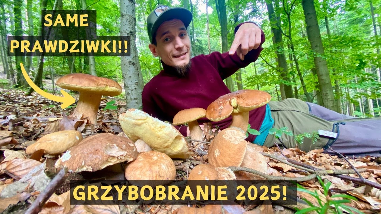 Grzybobranie 2025!! Wysyp grzybów w lesie!!