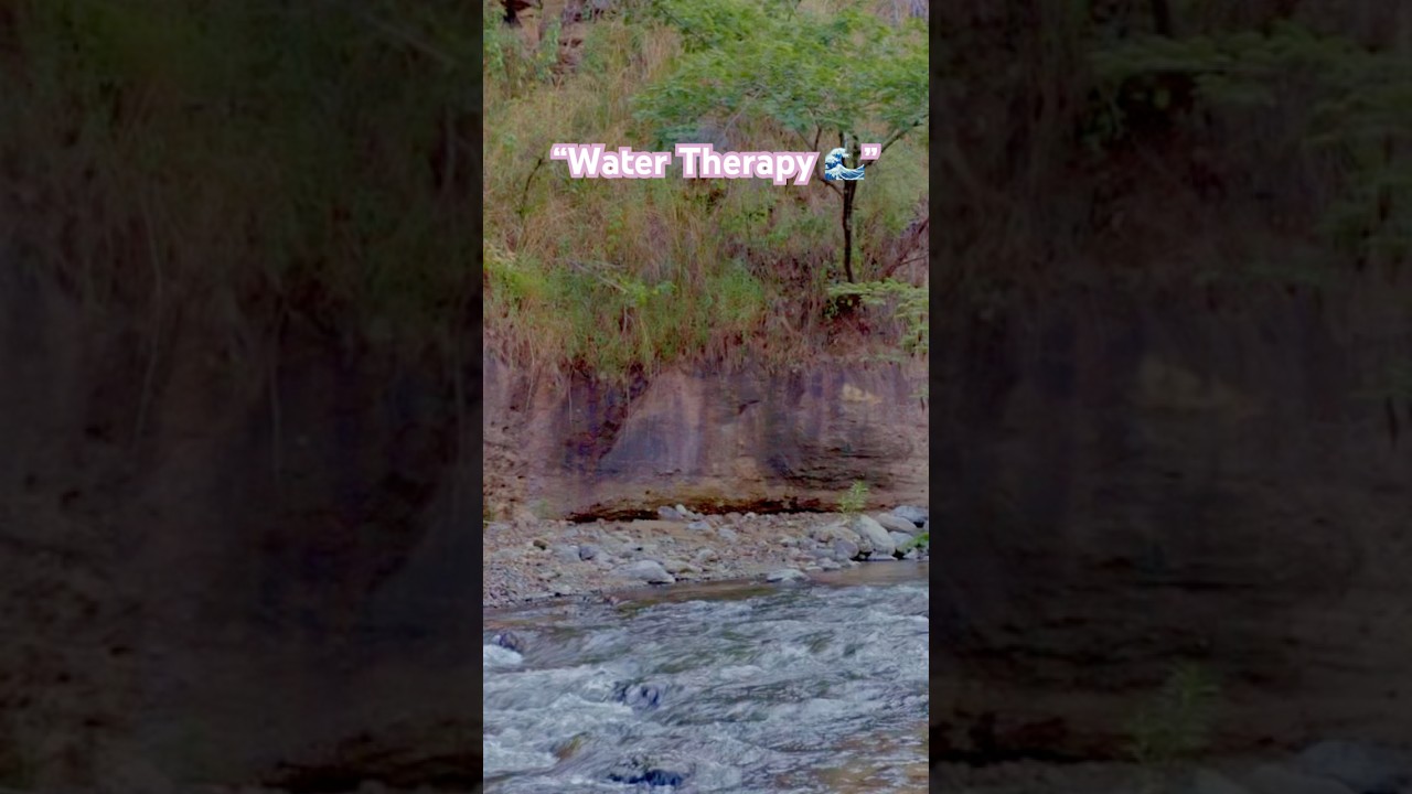 “Nature’s calm on loop 🍃💧 
