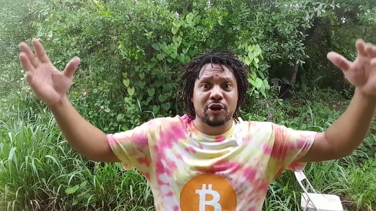 BitConnect Compounding Interest, Referral System and Proof of Stake!