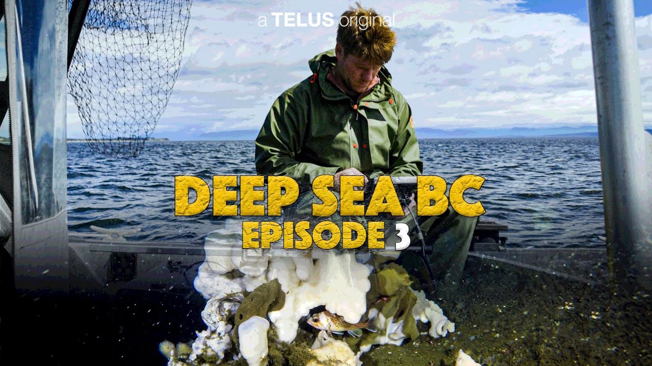 Deep Sea BC S1 Ep 03: Discovering an Ancient Glass Sponge