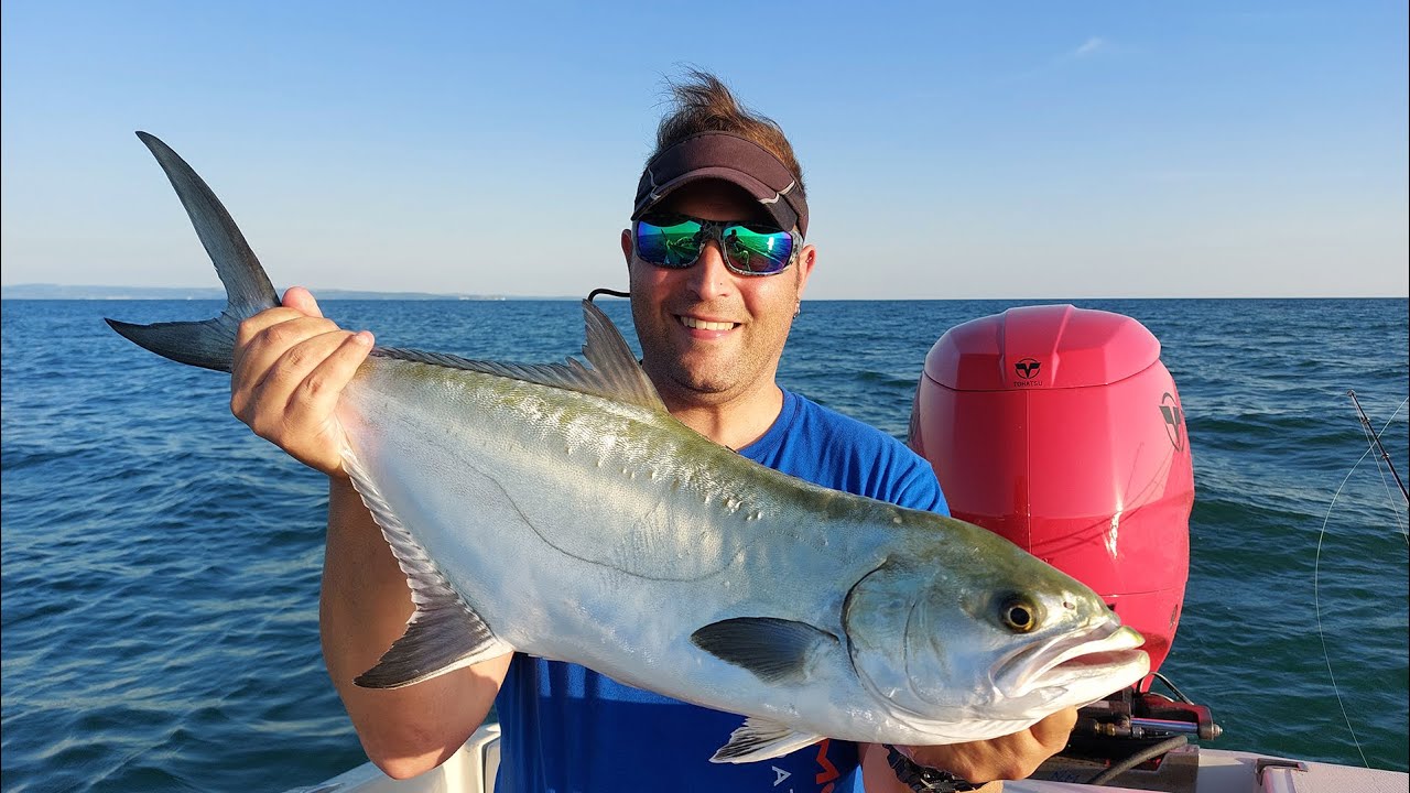 Che sfrizionate... la frizione Urla! Super combattimento! Leccia Amia Spinning Popper