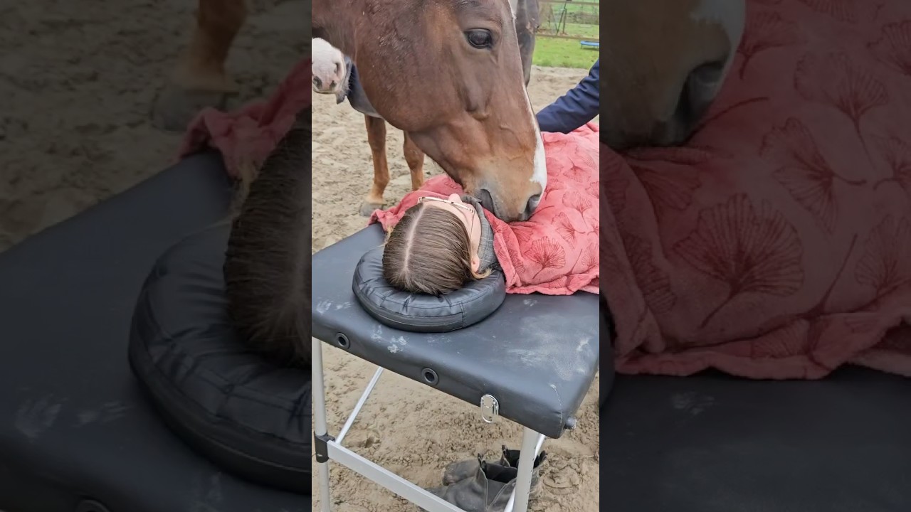 Horse healing power for the emotional, mental and physical body#horse #healing #mentalhealth #energy