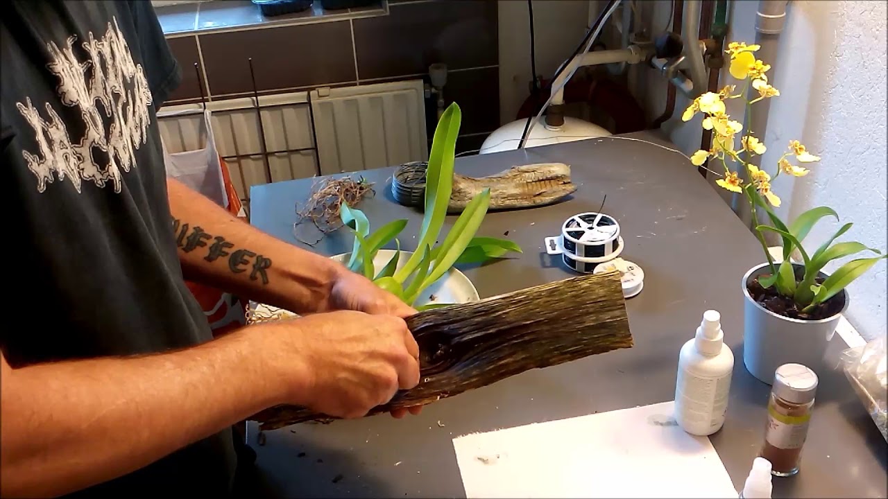 How to mount a Brassia
