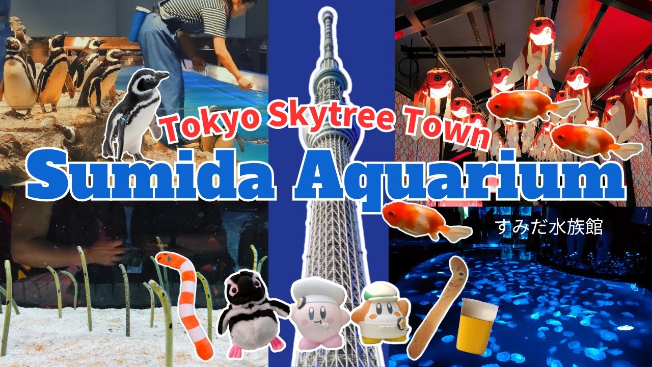 Тур по аквариуму Tokyo Skytree – Пингвины, медузы и пиво🐧♥️