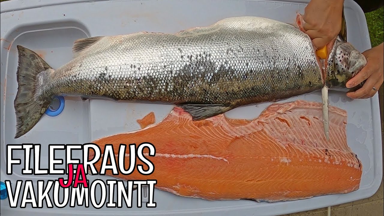 12 KG LOHEN FILEOINTI, PALOITTELU JA VAKUUMOINTI