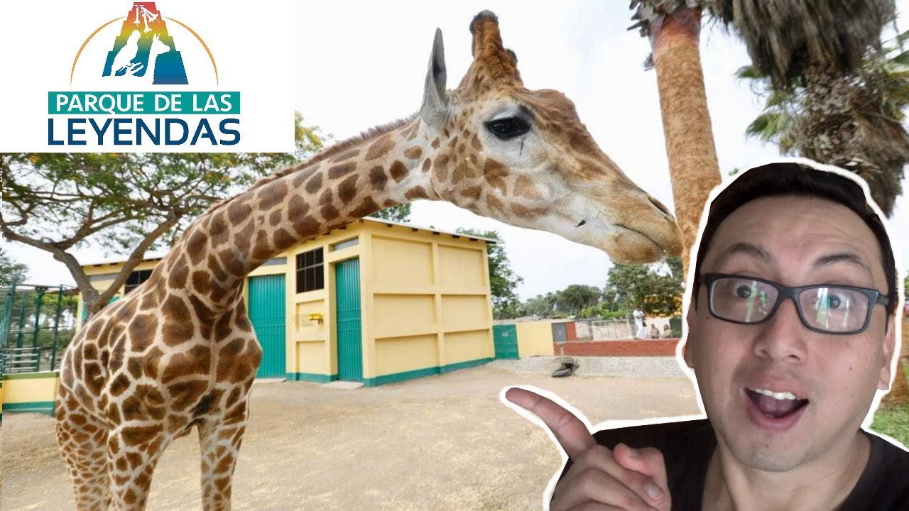 EL ZOOLOGICO MAS GRANDE del PERU