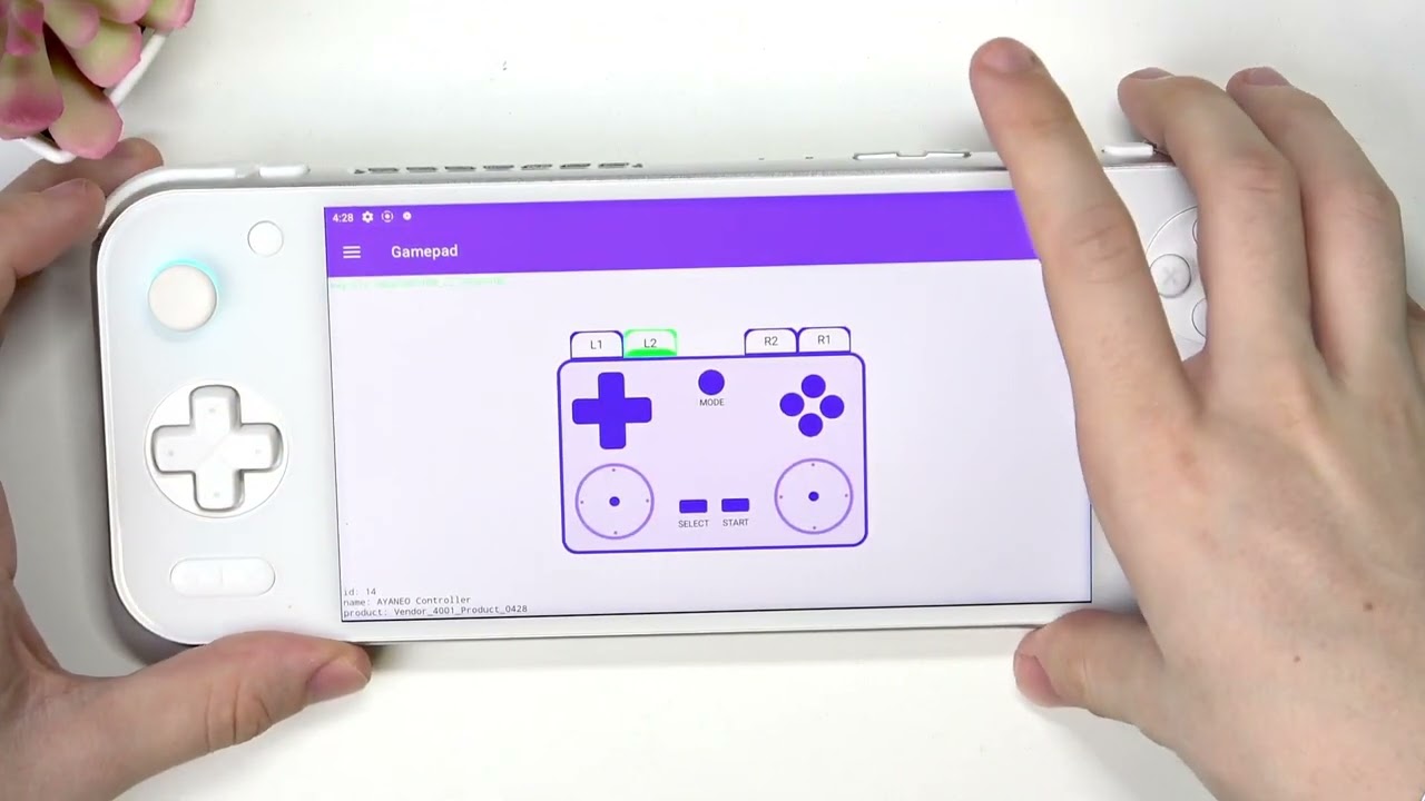 AYANEO S2 Pro – Gamepad Testi Nasıl Yapılır
