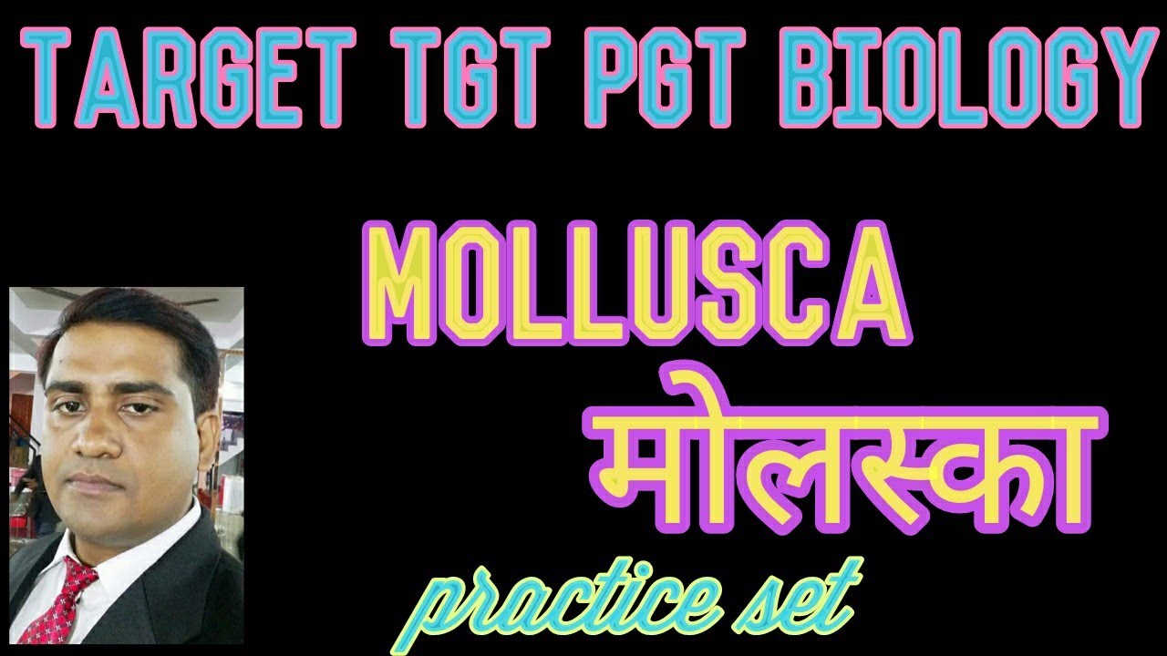 phylum mollusca important MCQs for TGT PGT and GIC lecturer Biology.