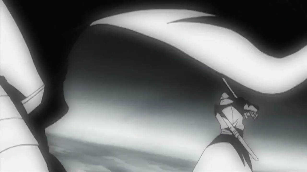 zoro defeat wapol crew