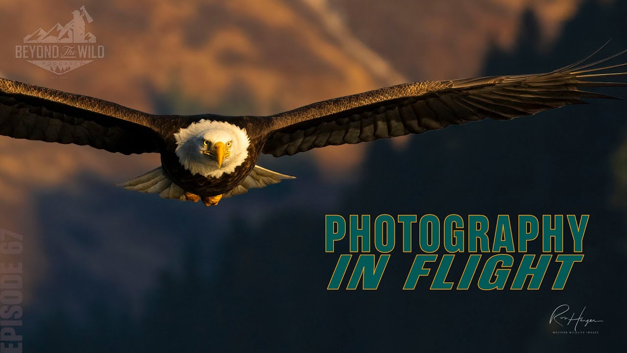 Episode 67: PHOTOGRAPHY IN FLIGHT