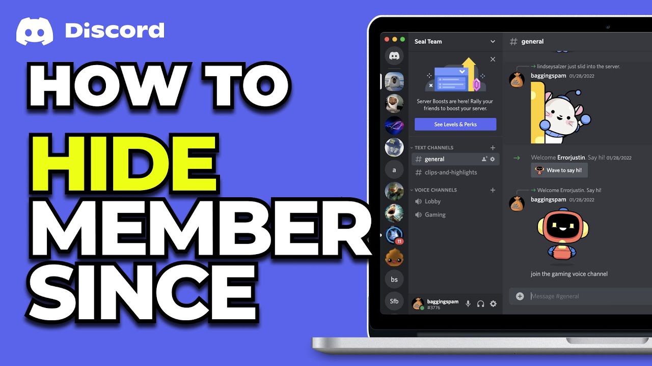 How To Hide Member Since in Discord