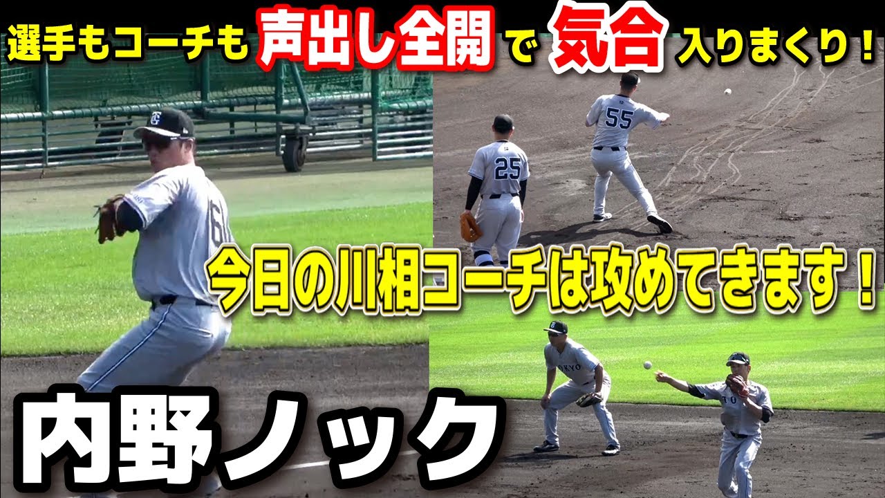 【巨人】選手もコーチも声全開！今日は気合い入ってます！内野ノック！今日の川相コーチは厳しいとこを攻めてくる！　坂本勇人　門脇誠　岡本和真　吉川尚輝　第2クール2日目　那覇キャンプ　2024.2.22