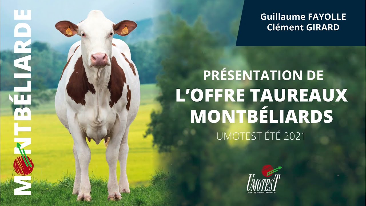 Indexation montbéliarde, présentation de l'offre Umotest par Guillaume FAYOLLE et Clément GIRARD.