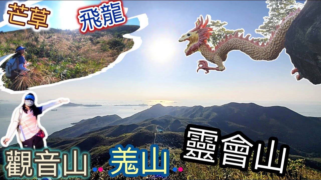 【尋找飛龍🐲，芒草!🌾!】觀音山，羗山，靈會山，360度美景! 尋找隱藏山林中的龍仔悟園🛖!
