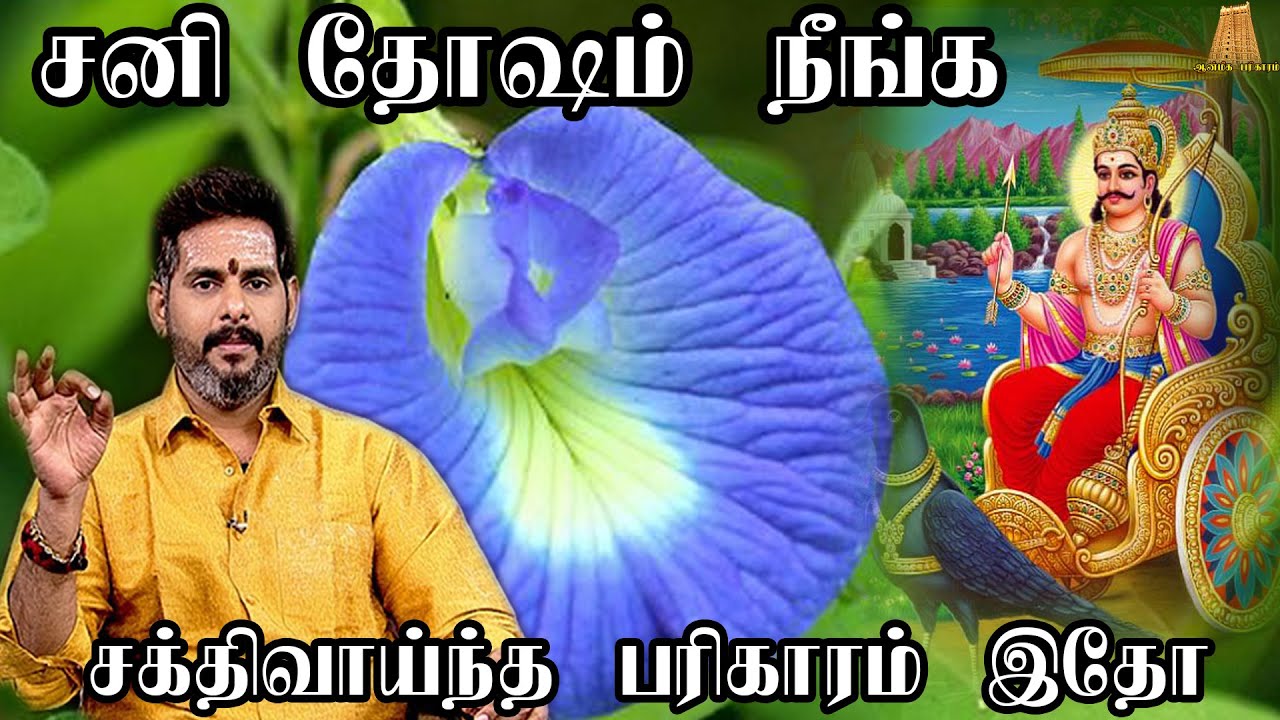 சனீஸ்வரர் பிடியிலிருந்து விடுபடவேண்டுமா?சனி கிரக பாதிப்புகள் நீங்க|Sani Thosam Pariharam|Mageshiyer