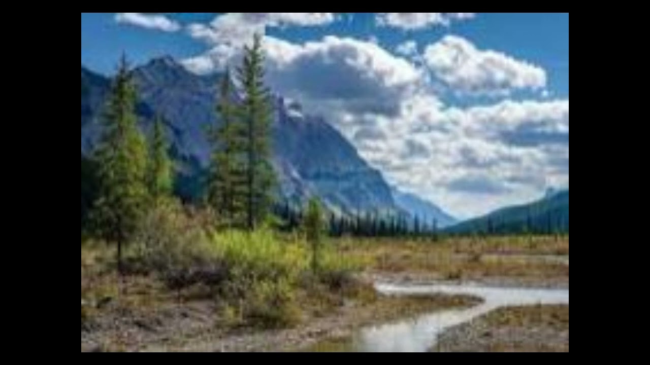 From the Plains to the Mountains and Back