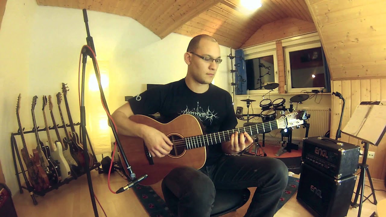 Fuck You And Die - The Shire Theme (Acoustic Guitar Cover - Tobias Schuler)