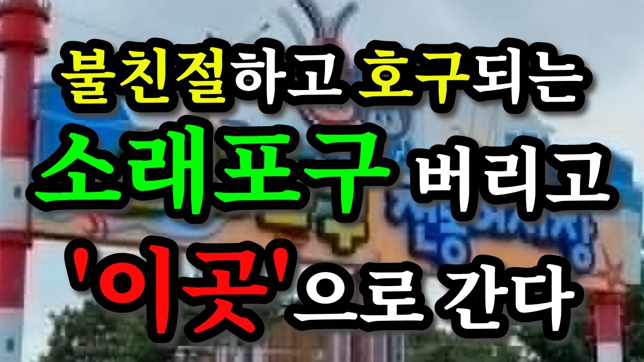 불친절하고 호구되는 소래포구 버리고 인천사람들은 '이곳'으로 간다 - 원더풀 인생후반전