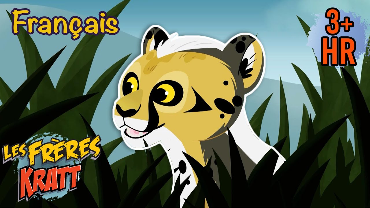 Des bébés guépards se cachent [épisodes complets] Les Frères Kratt
