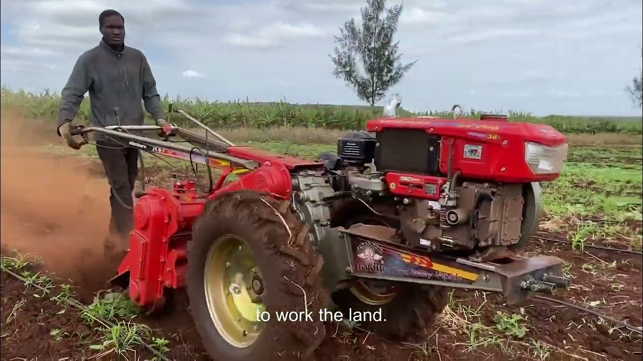Boane Agro-Industrial Platform | 500ha Irrigated Agricultural Infrastructure Investment