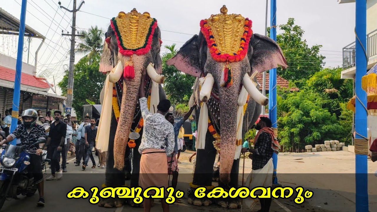കുഞ്ചുവും കേശവനും  ഒരുമിച്ചപ്പോൾ 🥵🔥🔥  Ukkens Kunju & Puthupally kesavan @ Parappukkara Perunnal