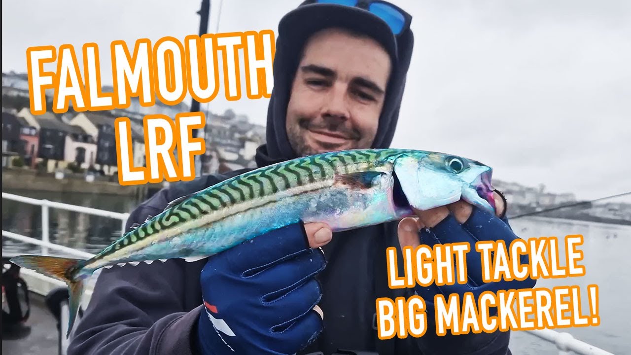 Rock Pools & Lure Fishing for Mackerel FALMOUTH LRF