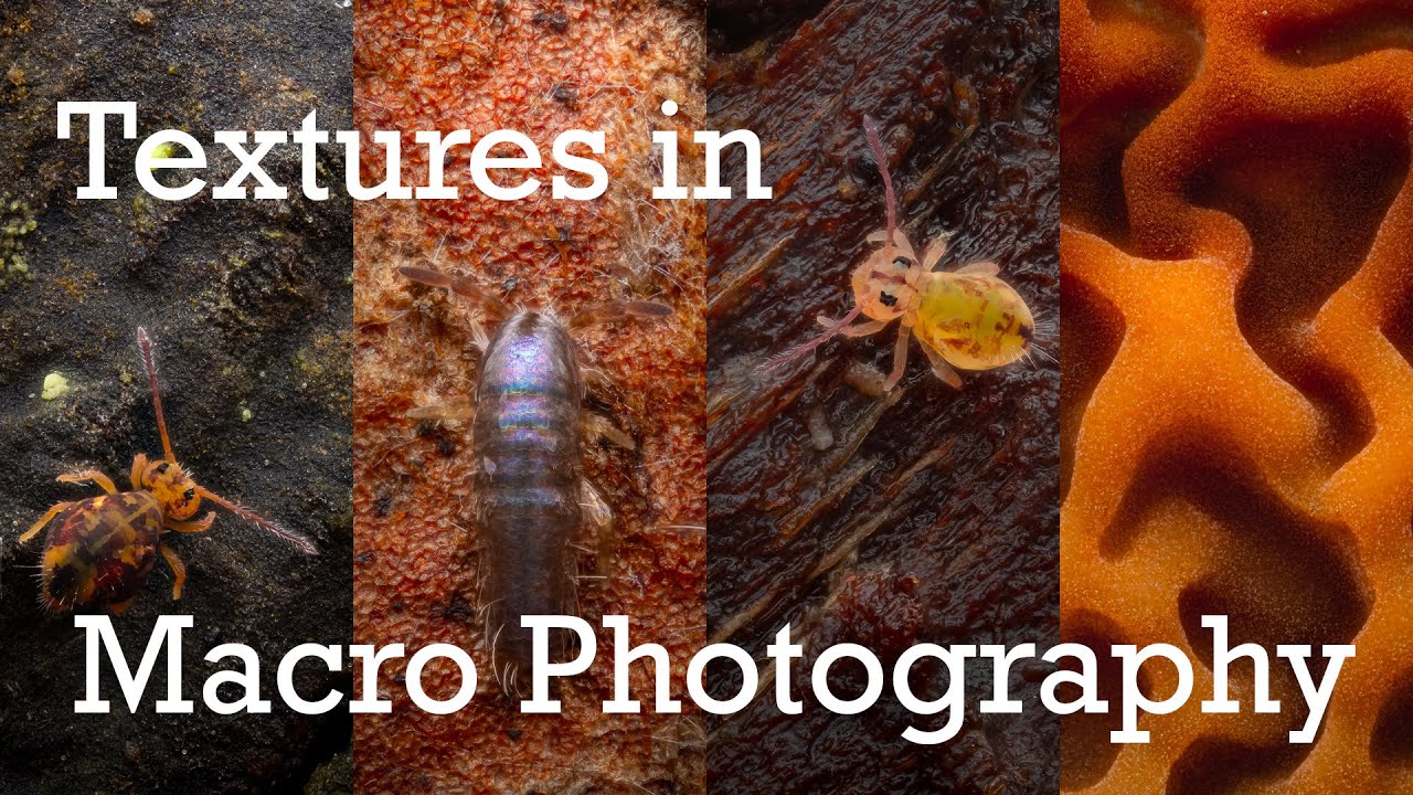 How to use Texture in Macro Photography