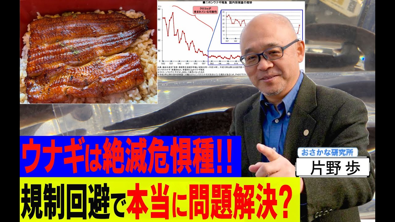 【絶滅危惧種】ウナギは輸入出来れば良いのか？ワシントン条約否決でさらに状況は厳しく？