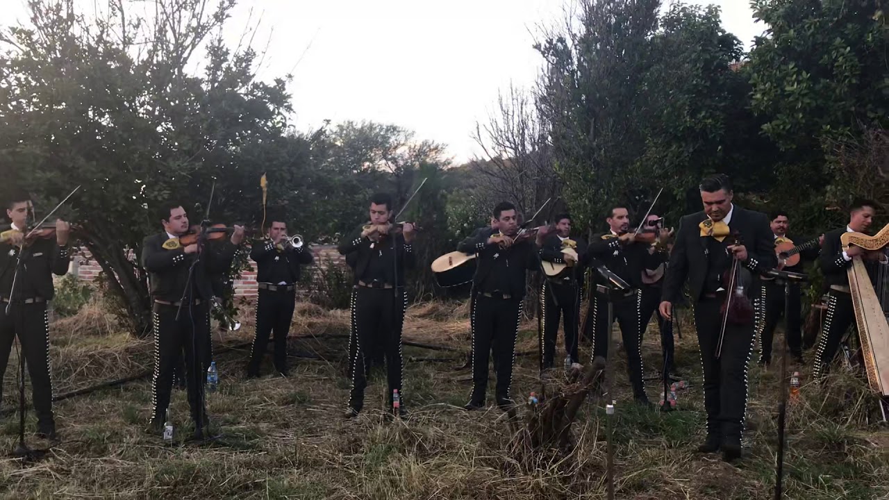 Viva quien save querer mariachi imperial de Nochistlan Zacatecas