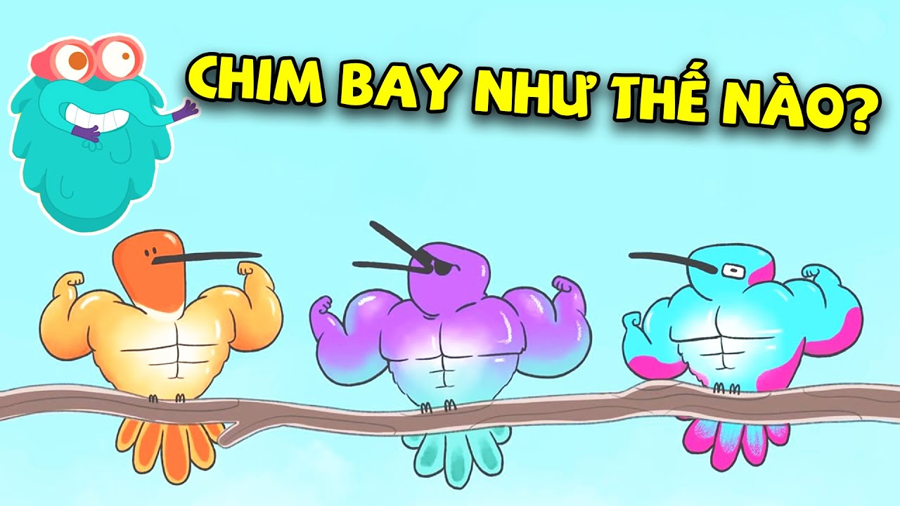 Bí mật về Sức Mạnh Đôi Cánh của Chim | Kiến Thức Thú Vị | Hoạt Hình Giáo Dục