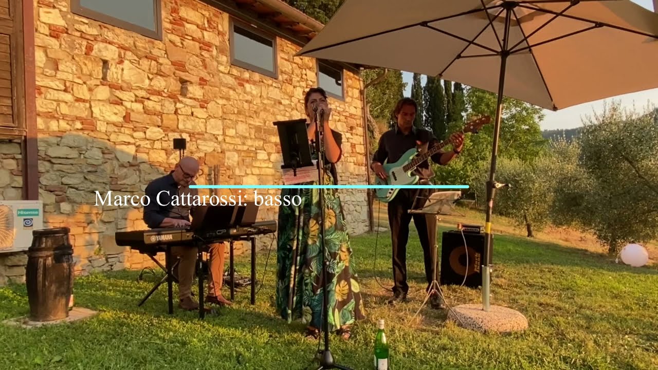 20 Something Trio Live