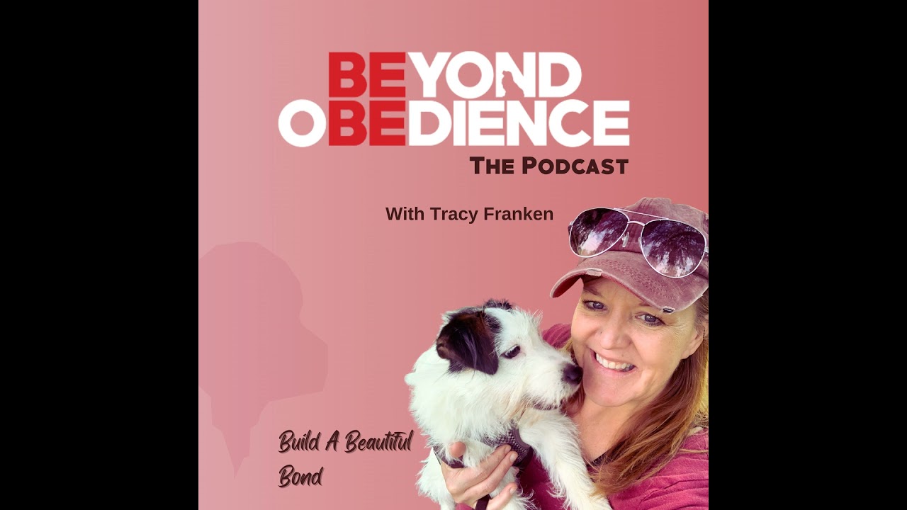 01 | Beyond Obedience The Podcast: The greatest lesson I learned
